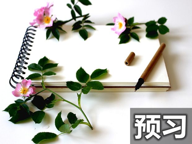 道德與法治預(yù)習(xí)方法詳解