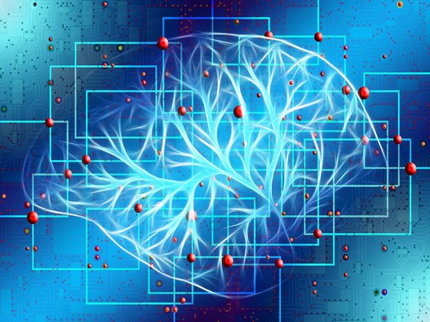 高中生物的12個記憶方法,生物記憶方法大全