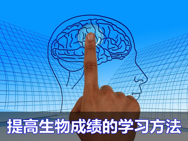 快速提高生物成績的基本學習方法