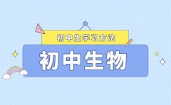 <b>實用詳細(xì)的初中生物學(xué)習(xí)方法和技巧</b>