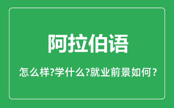 阿拉伯語專業(yè)怎么樣,阿拉伯語專業(yè)主要學什么,就業(yè)前景怎么樣