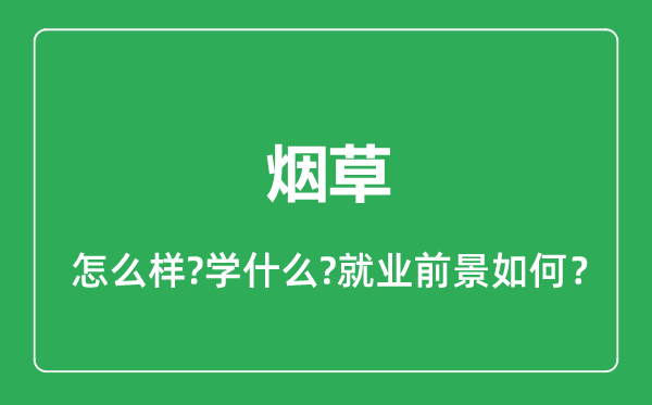 煙草專業(yè)怎么樣,煙草專業(yè)就業(yè)方向及前景分析