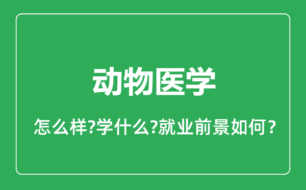 動(dòng)物醫(yī)學(xué)專業(yè)怎么樣,動(dòng)物醫(yī)學(xué)專業(yè)就業(yè)方向及前景分析