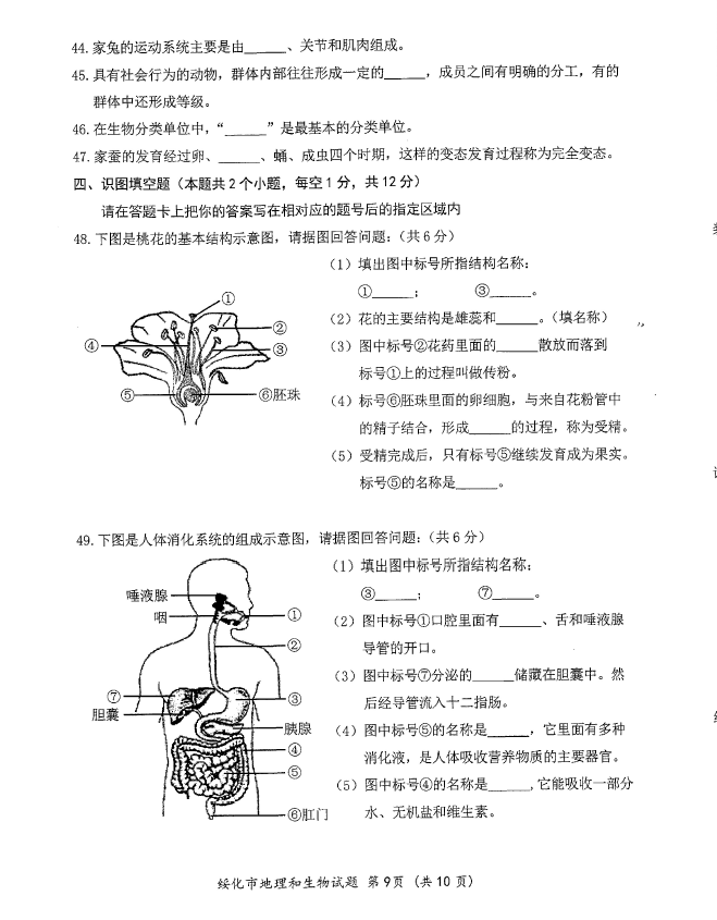 2023年綏化市中考生物試卷真題及答案