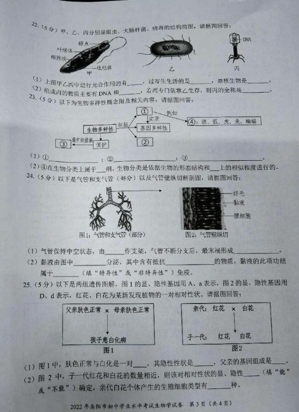 2023年岳陽市中考生物試卷真題及答案