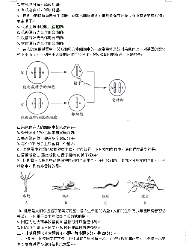 2023年安徽中考生物試卷真題及答案