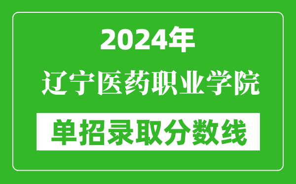 2024年遼寧醫(yī)藥職業(yè)學(xué)院單招錄取分?jǐn)?shù)線