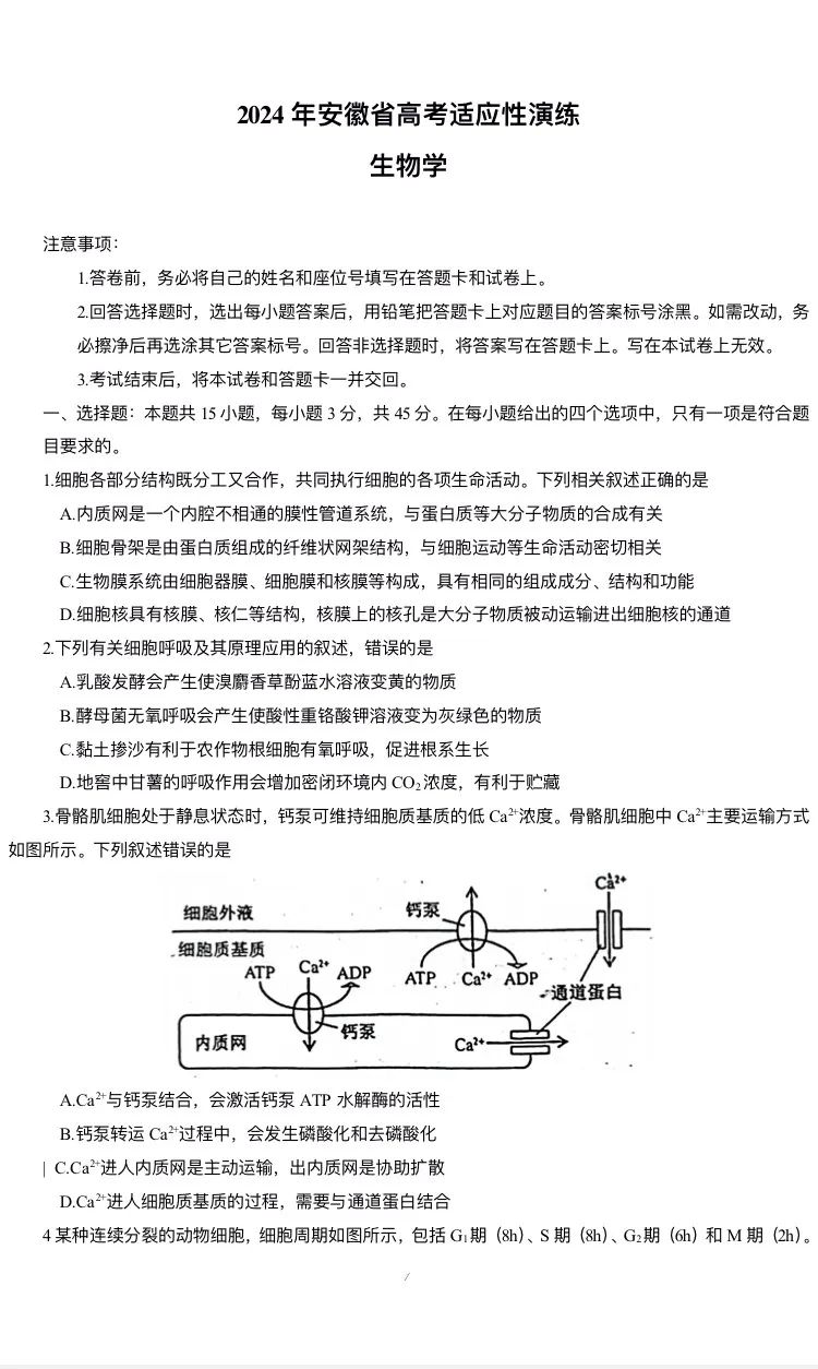 新高考2024七省聯(lián)考生物試卷及答案解析