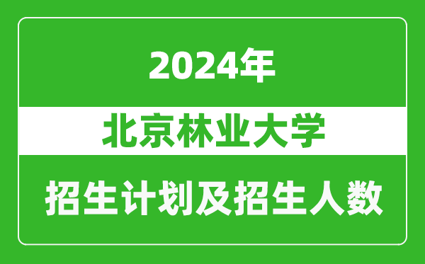 北京林業(yè)大學(xué)2024年在江蘇的招生計(jì)劃及招生人數(shù)