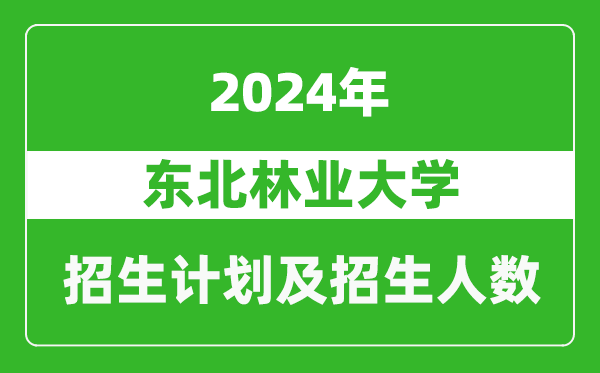 東北林業(yè)大學(xué)2024年在河南的招生計(jì)劃和招生人數(shù)