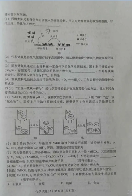 2024年濰坊中考化學試卷真題及答案解析