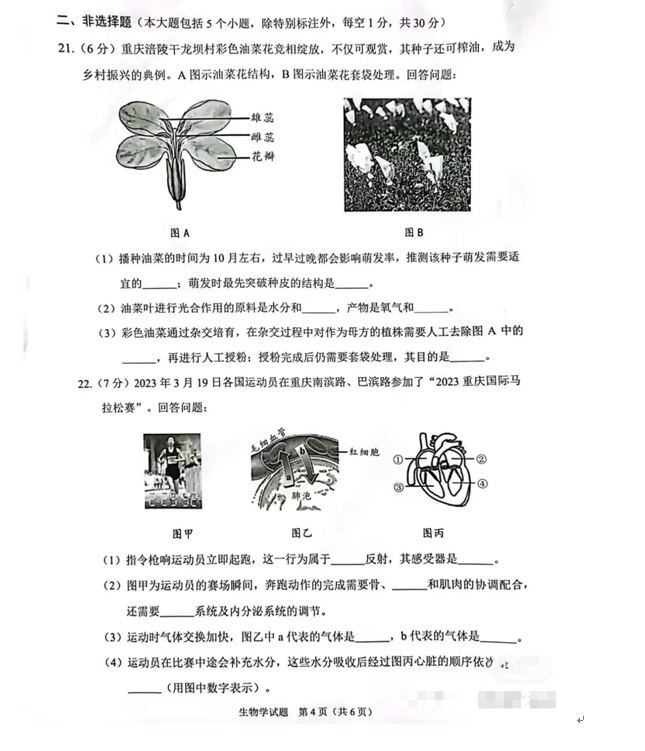 2024年重慶中考生物試卷真題及答案解析