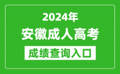 2024年安徽成人高考成績查詢入口網(wǎng)址(https://www.ahzsks.cn/)