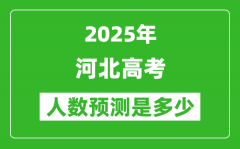 2025年河北高考人數(shù)是多少_河北高考人數(shù)預測